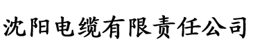 孟若羽夏晴子吴梦梦电缆厂logo